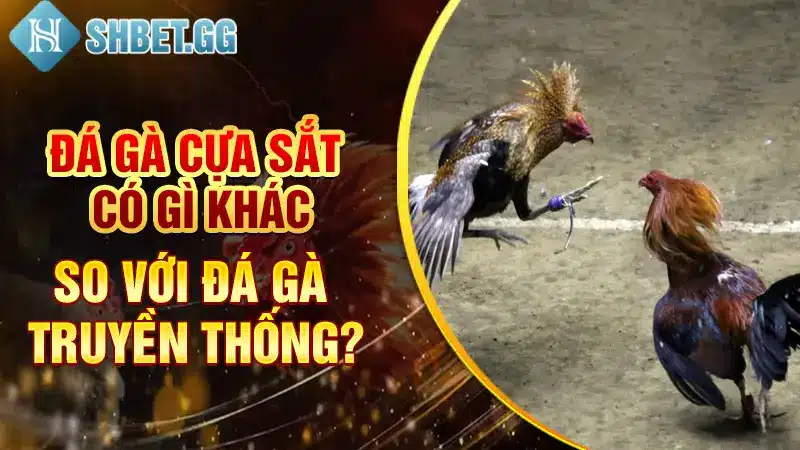 Đá Gà Cựa Sắt Campuchia Trực Tiếp - Hấp Dẫn Nhất Mọi Thời Đại 3 Đá gà cựa sắt có gì khác so với đá gà truyền thống?